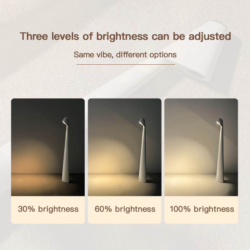 Led Rechargeable Cordless Table Lamp (9)